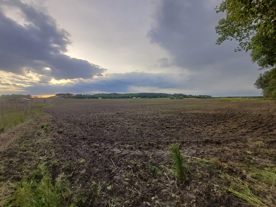 Sprzedam działki Mieściska, gmina Duszniki