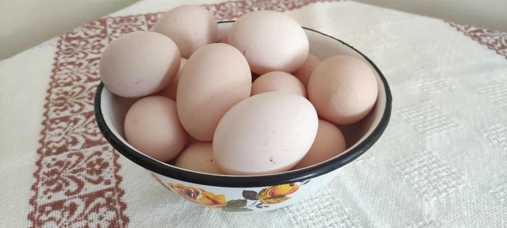 Jajka wiejskie z wolnego wybiegu