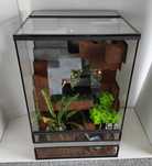 Terrarium dla gekona orzęsionego, felsumy, TW40MLR, AquaWaves