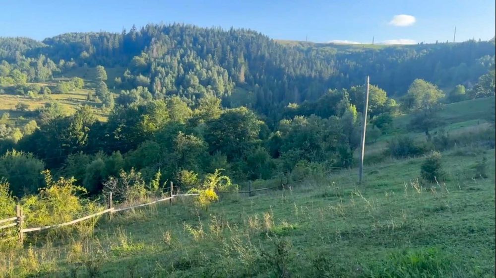Ділянка зі старою хатою 2,25 гектари