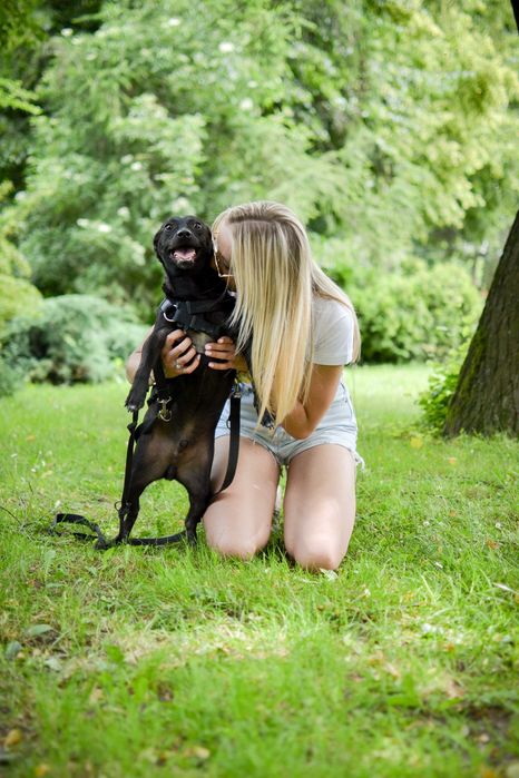 Fado – energiczny pies szuka domu pełnego miłości i zrozumienia!