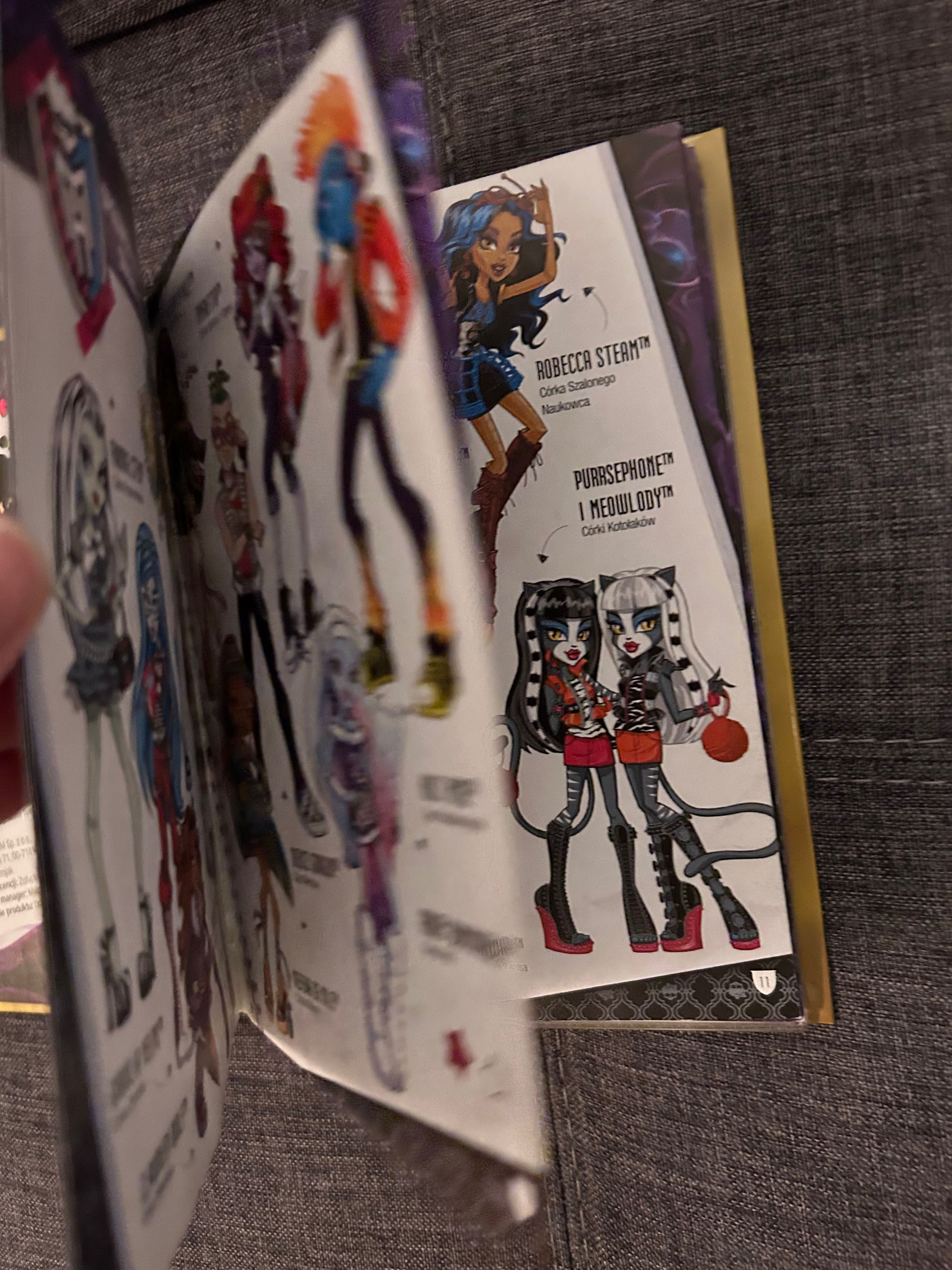 MONSTER HIGH 13 życzeń. Płyta DVD i książka