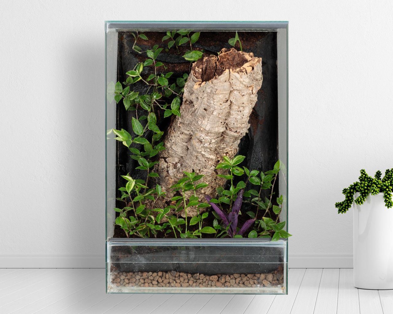 Terrarium 40x40x60 tropikalne paludarium