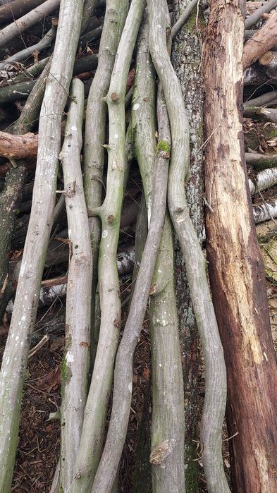 Drewno opałowe gałęziówka