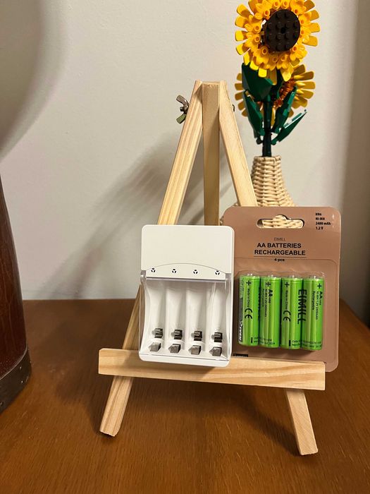 Carregado e pilhas recarregáveis