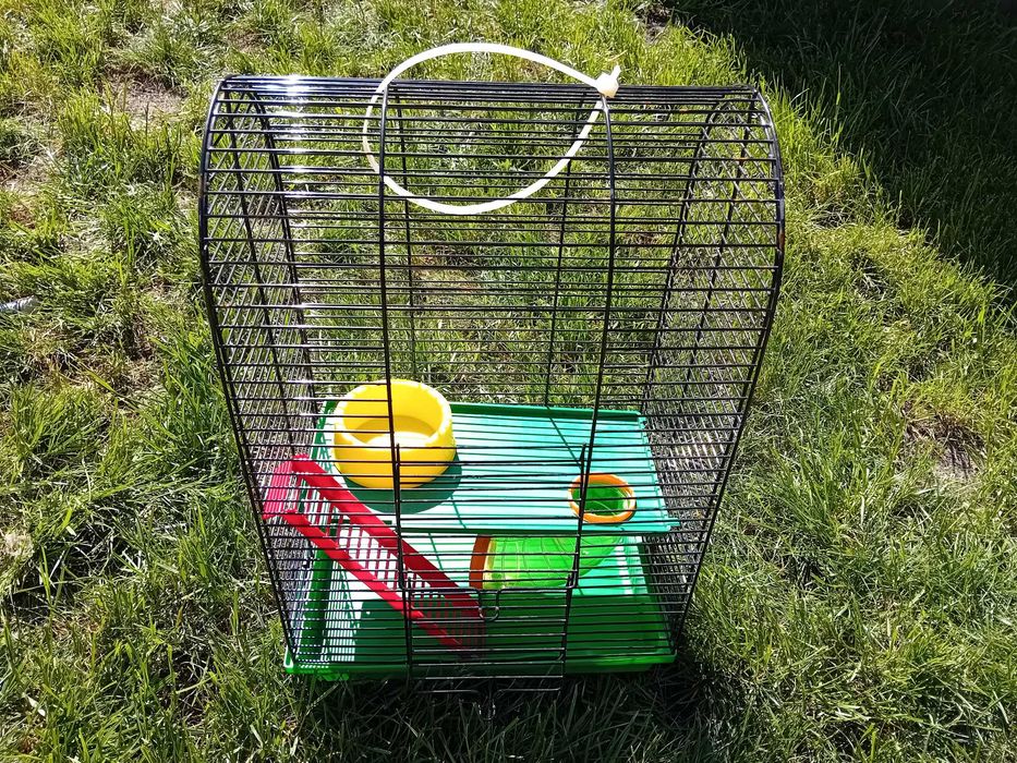 Klatka Dla Chomika/Myszki/Skoczka, Wymiary: 50 x 33 x 22 cm