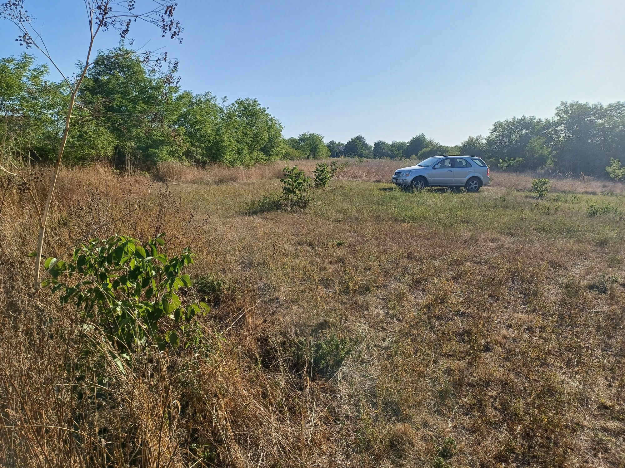 Будинок з приватизованою землею більше ніж гектар, пай