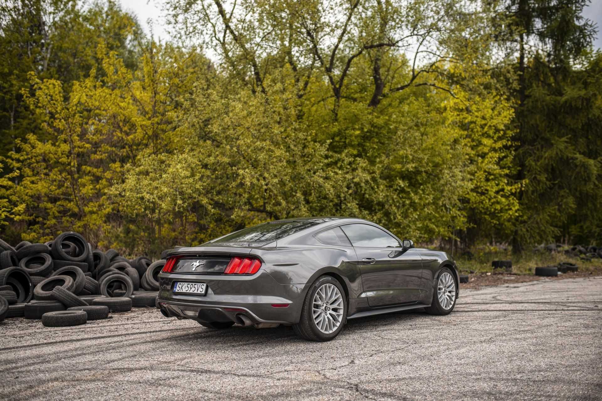 WYNAJEM FORD MUSTANG V6 - już od 400zł/brutto! Idealne na ślub!