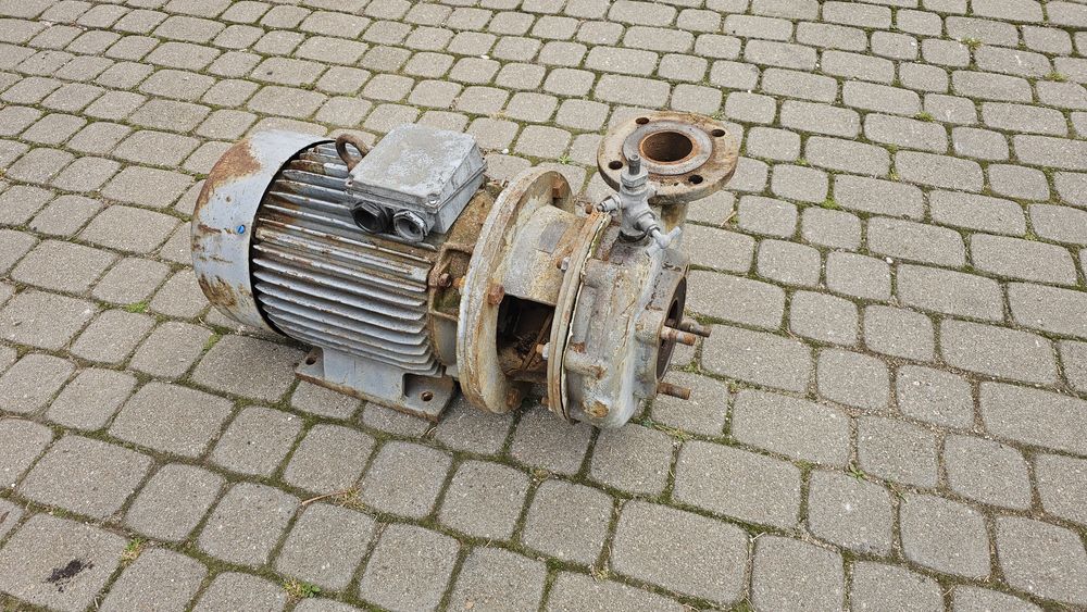 Skup pomp do wody typu pjm polskie pompa 65pjm250  silnik elektryczny