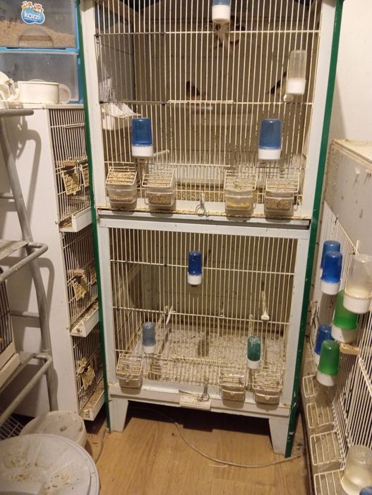 Viveiros PVC voadeiras