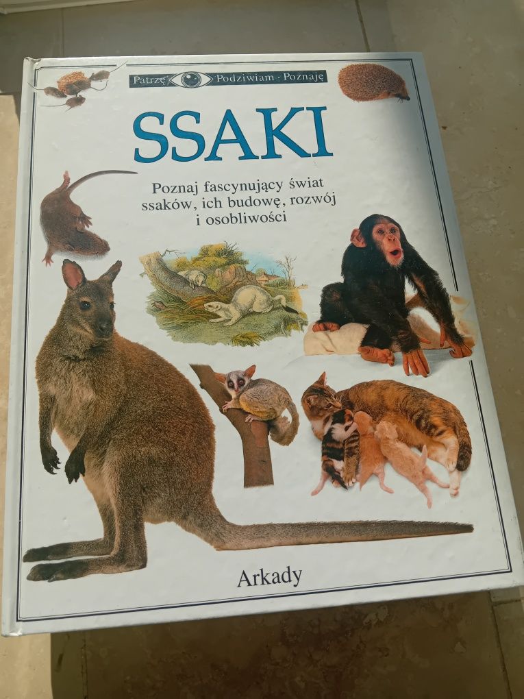 Patrzę podziwiam poznaję Ssaki