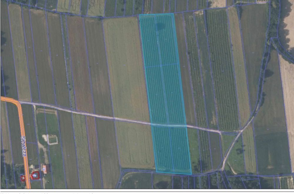 Działka rolna Nałęczów obręb Bochotnica