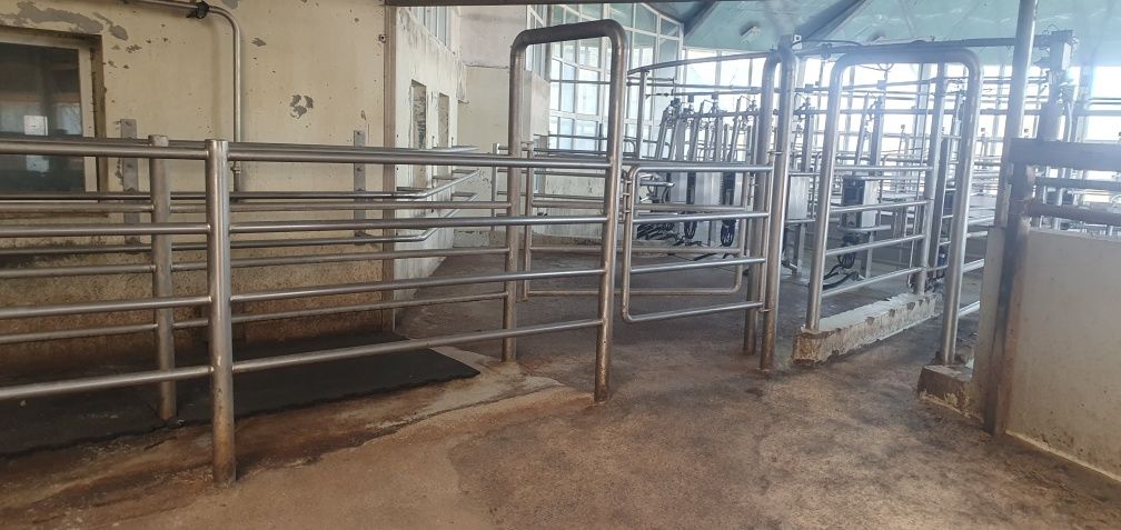 Karuzela udojowa GEA AutoRotor Global 48 hala robot delaval lely