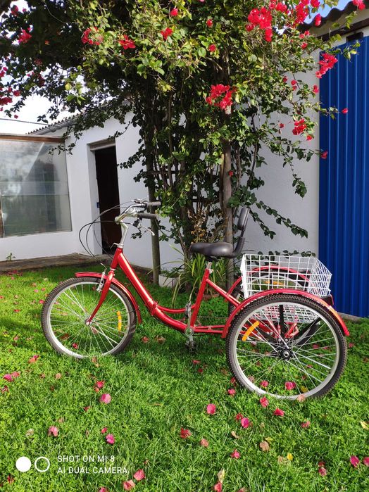 Vende-se Triciclo para Adulto