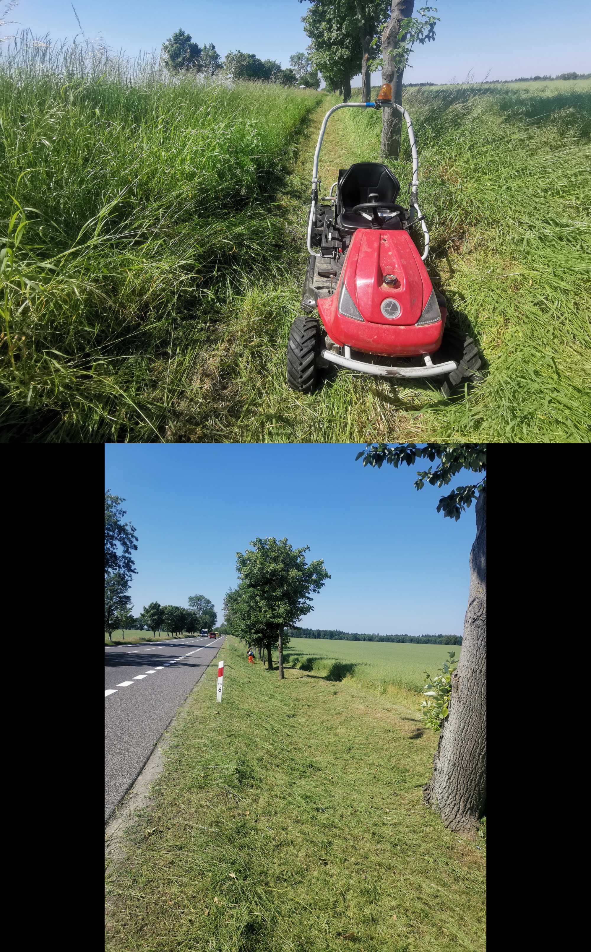 Koszenie działek zarośli, wycinka drzew wycinanie karczowanie ogrodzen