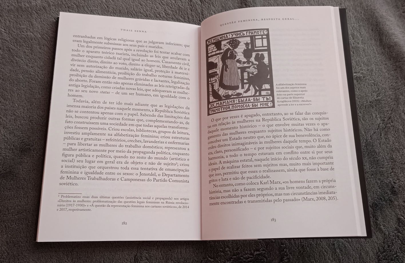 Livro A revolução russa - 100 anos depois
