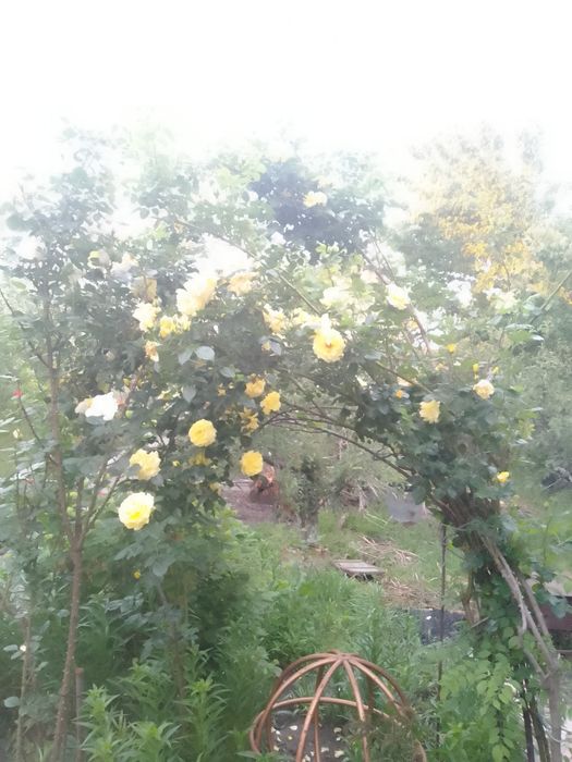 Продам дачный участок с двухэтажным домом