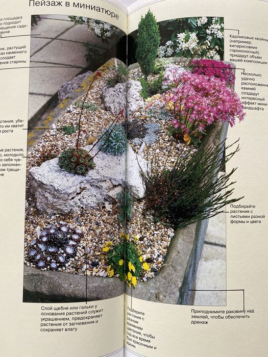 Книга по ланшафту