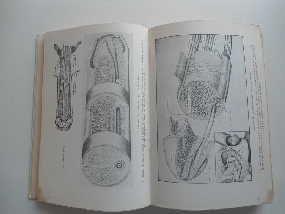 Enciclopédia Ilustrada do Sexo de Dr. Willy Vander e outros