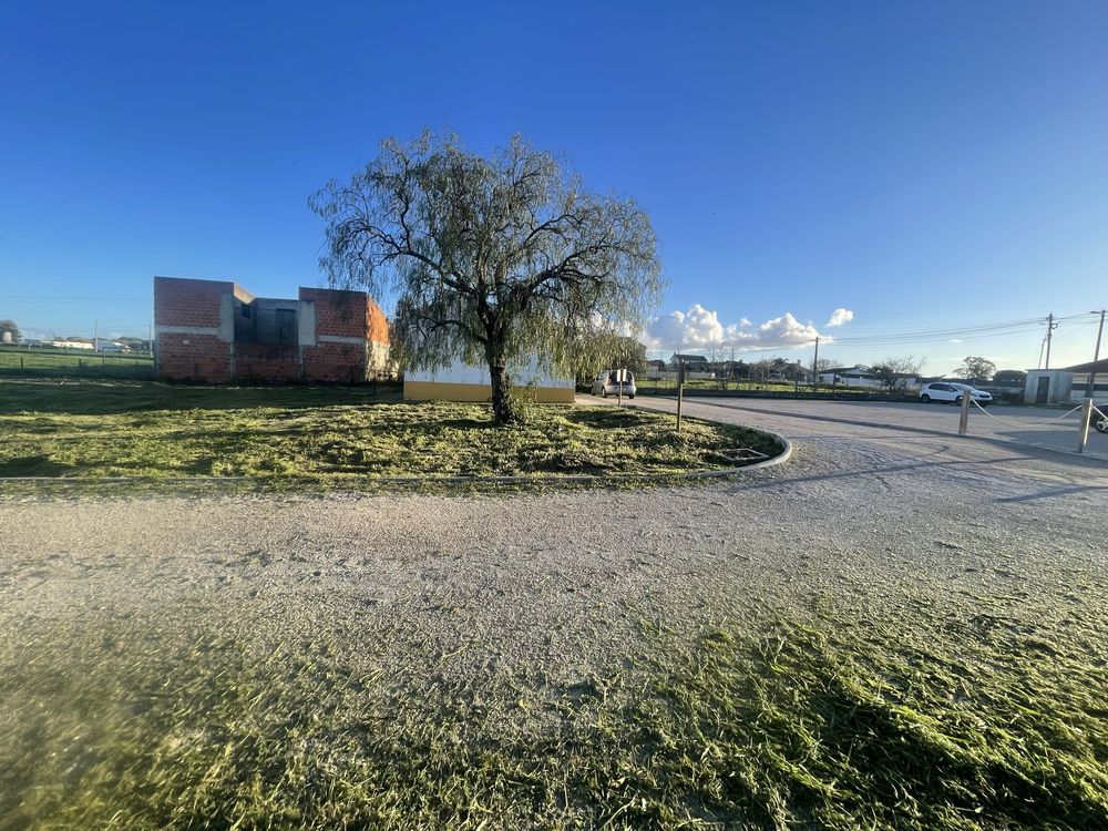 Jardinagem e Limpeza de Terreno