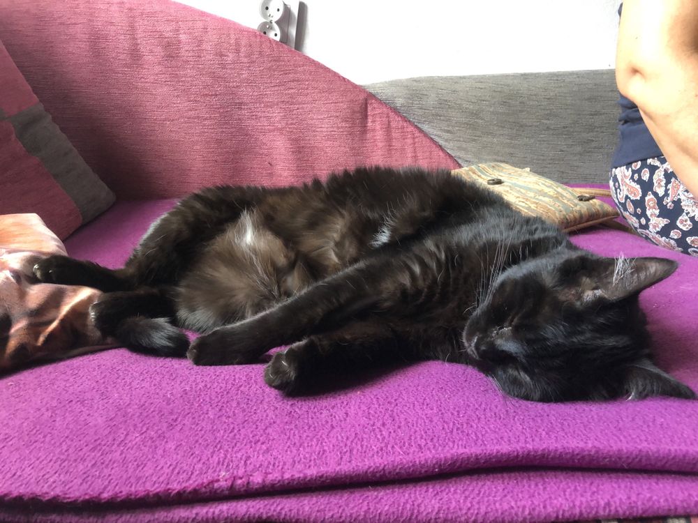 „Jutro wracam do azylu… Czy znajdzie się jeszcze dla mnie dom?”