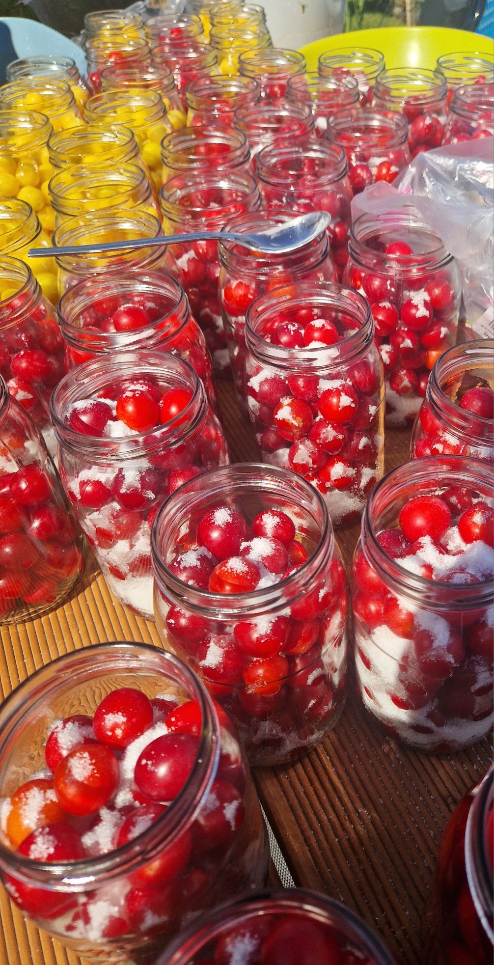 Kompot z mirabelek czerwonych