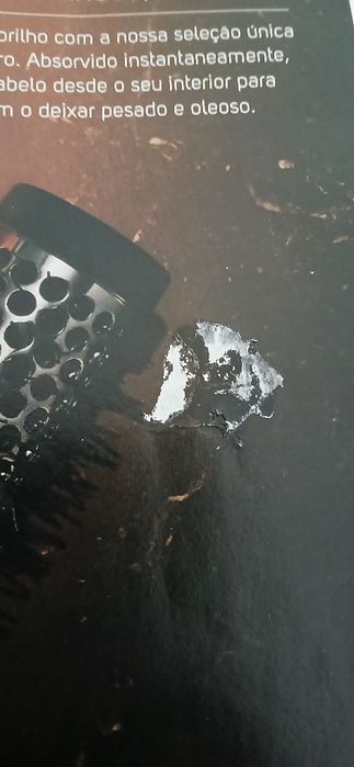 Revista Máxima de 2016