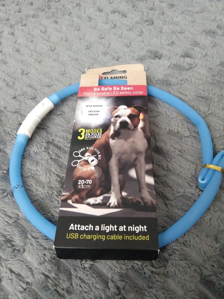 Obroża świecąca LED + GRATIS
