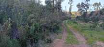 Terreno rustico a 20 kms de Monchique!