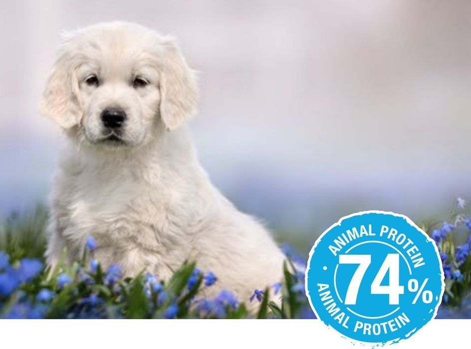 Eminent Puppy Large Breed 28/14 15kg - ulepszona receptura