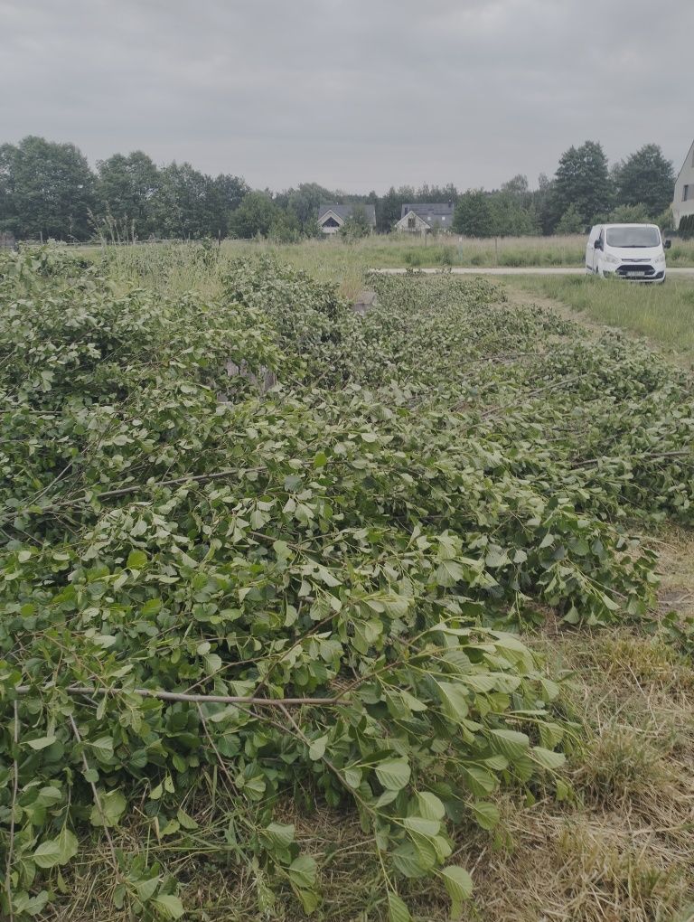 Koszenie karczowanie traw, mycie kostki brukowej, sprzątanie piwnic