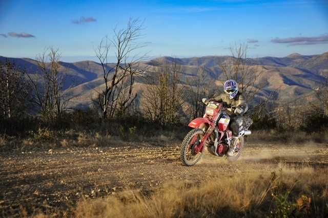 Honda XLV750R RD01