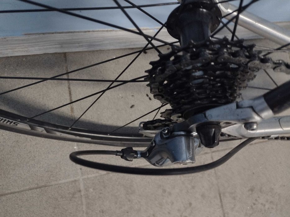 Sportowy rower szosowy SPECIALIZED Sequoia