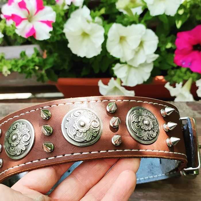 Ошейник кожаный для собак больших пород. Ошийник нашийник повод