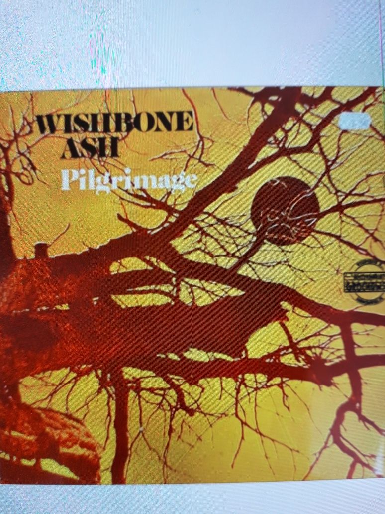 Klasyka WISHBONE ASH- Pilgrimage. 1971.