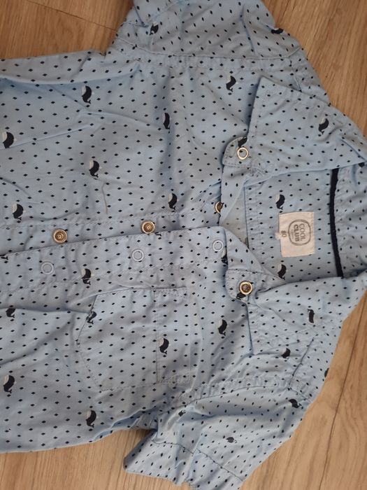 Koszulobody Cool Club Smyk r.80 niebieskie