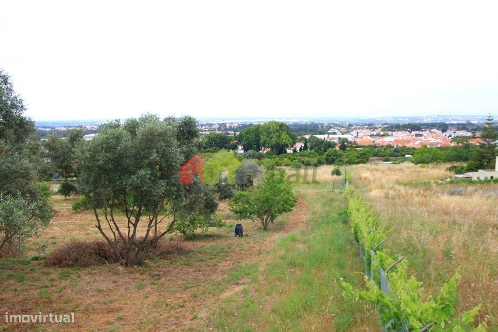 Venda Terreno rústico em Vendas de Azeitão