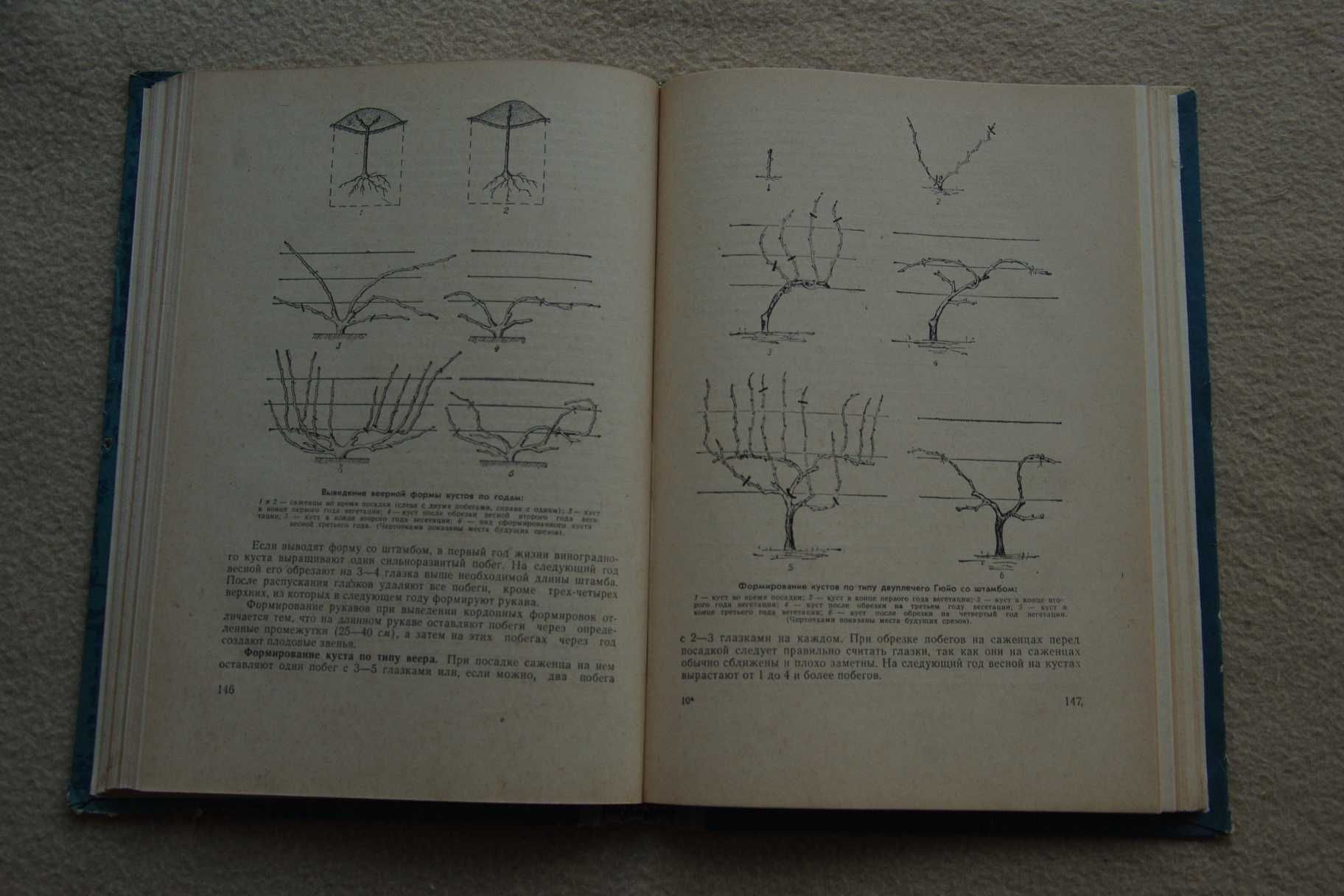 Настольная книга виноградаря