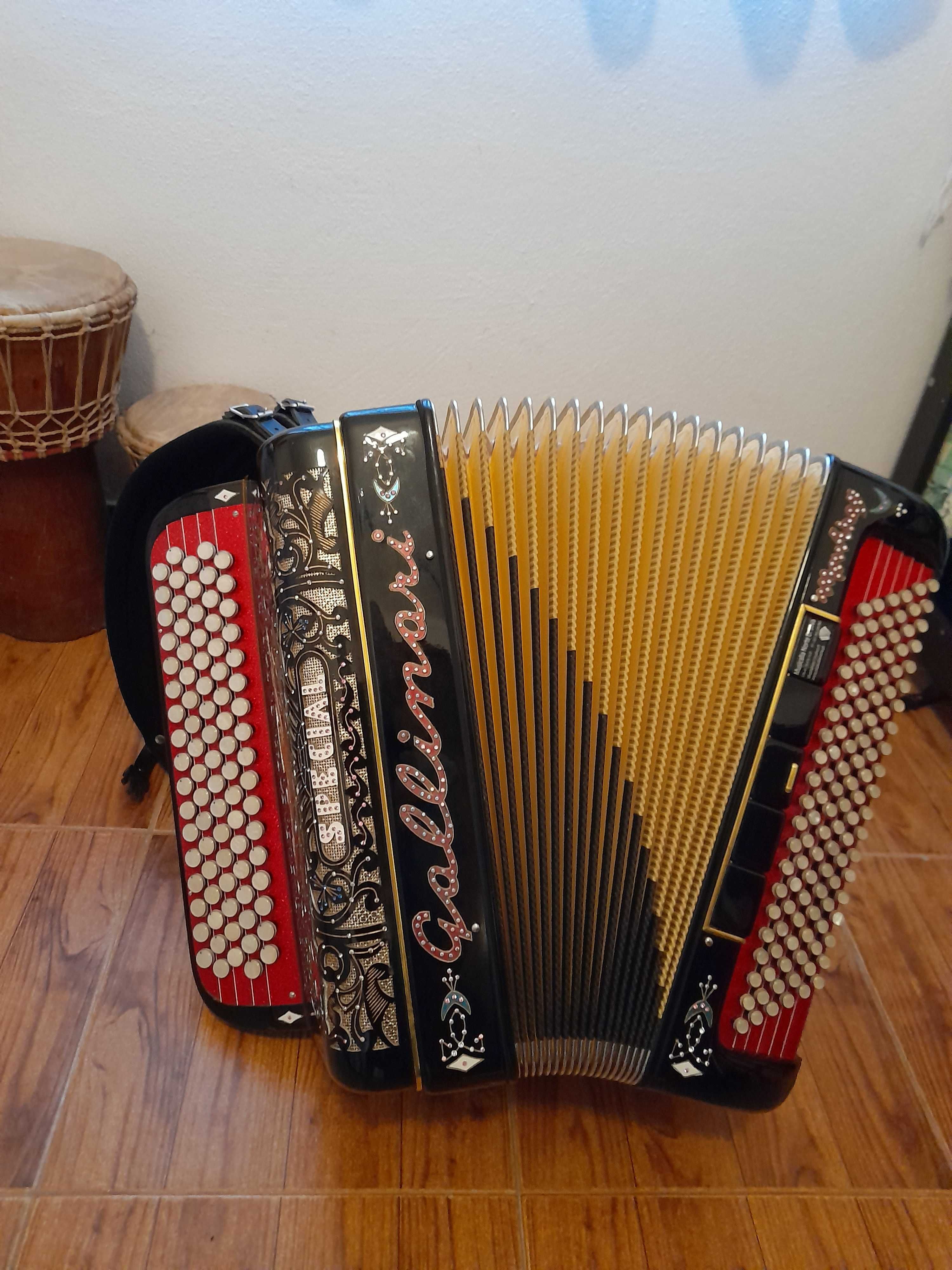 Acordeon/ Acordião/ Acordeão de botões Marca GALLINARI