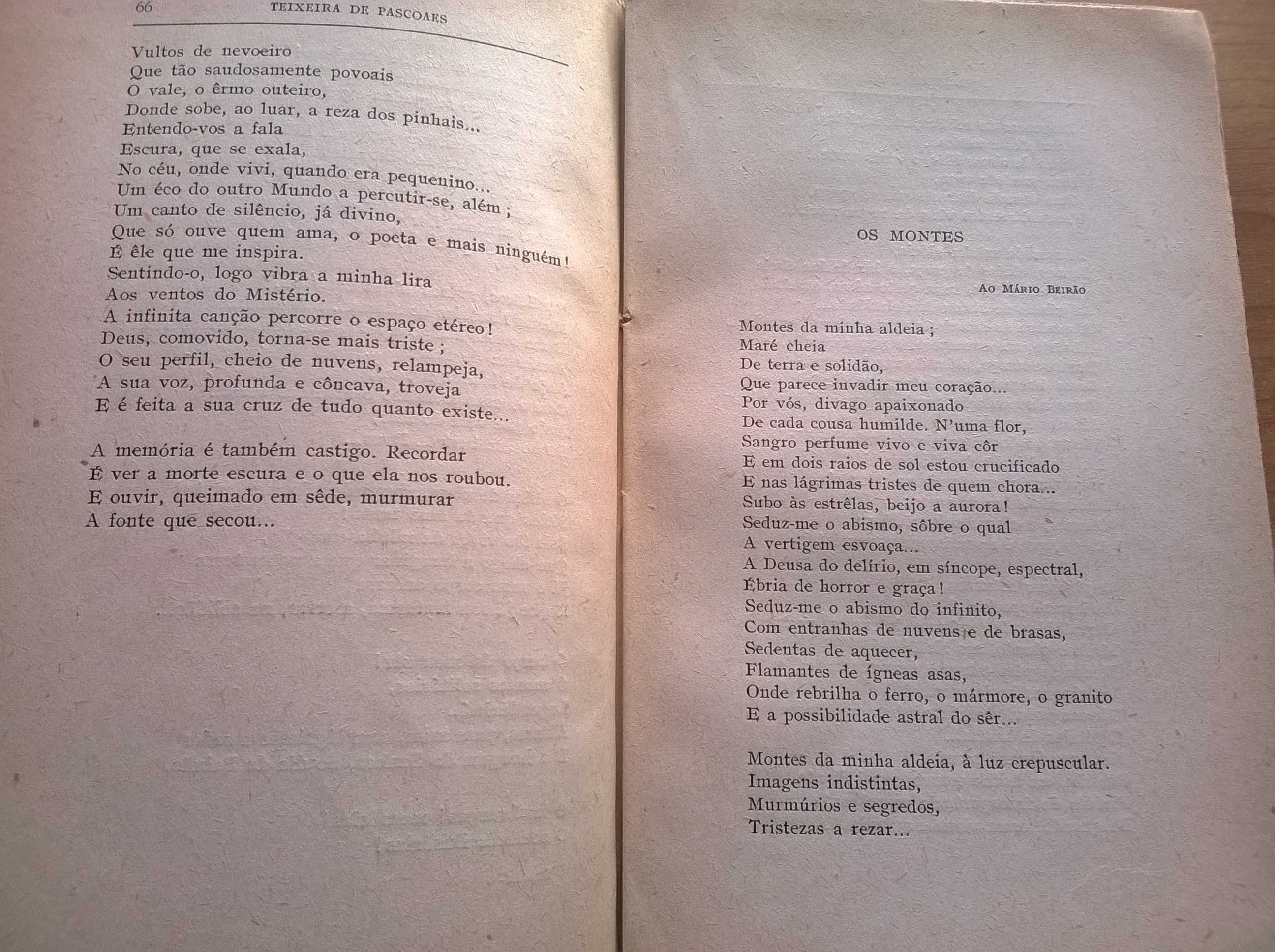 SEMPRE - Terra Prohibida - Teixeira de Pascoaes
