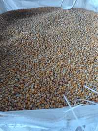 kukurydza sucha drobna typu flint BIG BAG