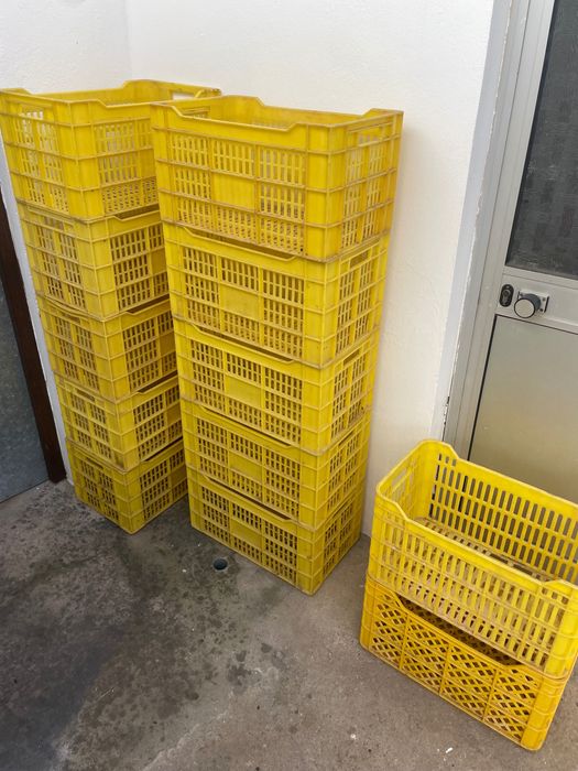 12 caixas plásticas resistentes