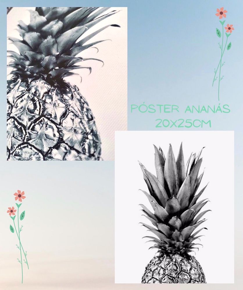 Posters ananás e planta