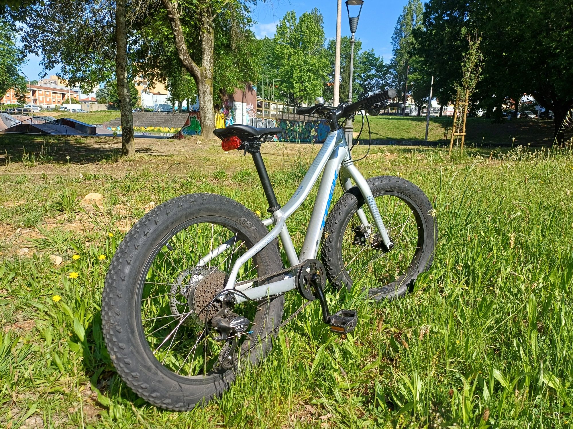 Trek Roscoe 20" Prata e Azul