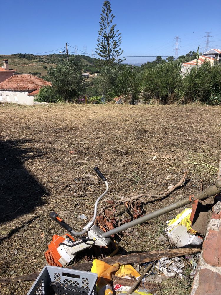 Limpeza terrenos e corte arvores
