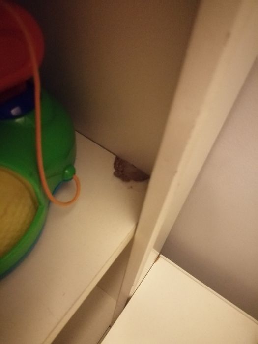 Regał szafa półka IKEA HENSVIK
