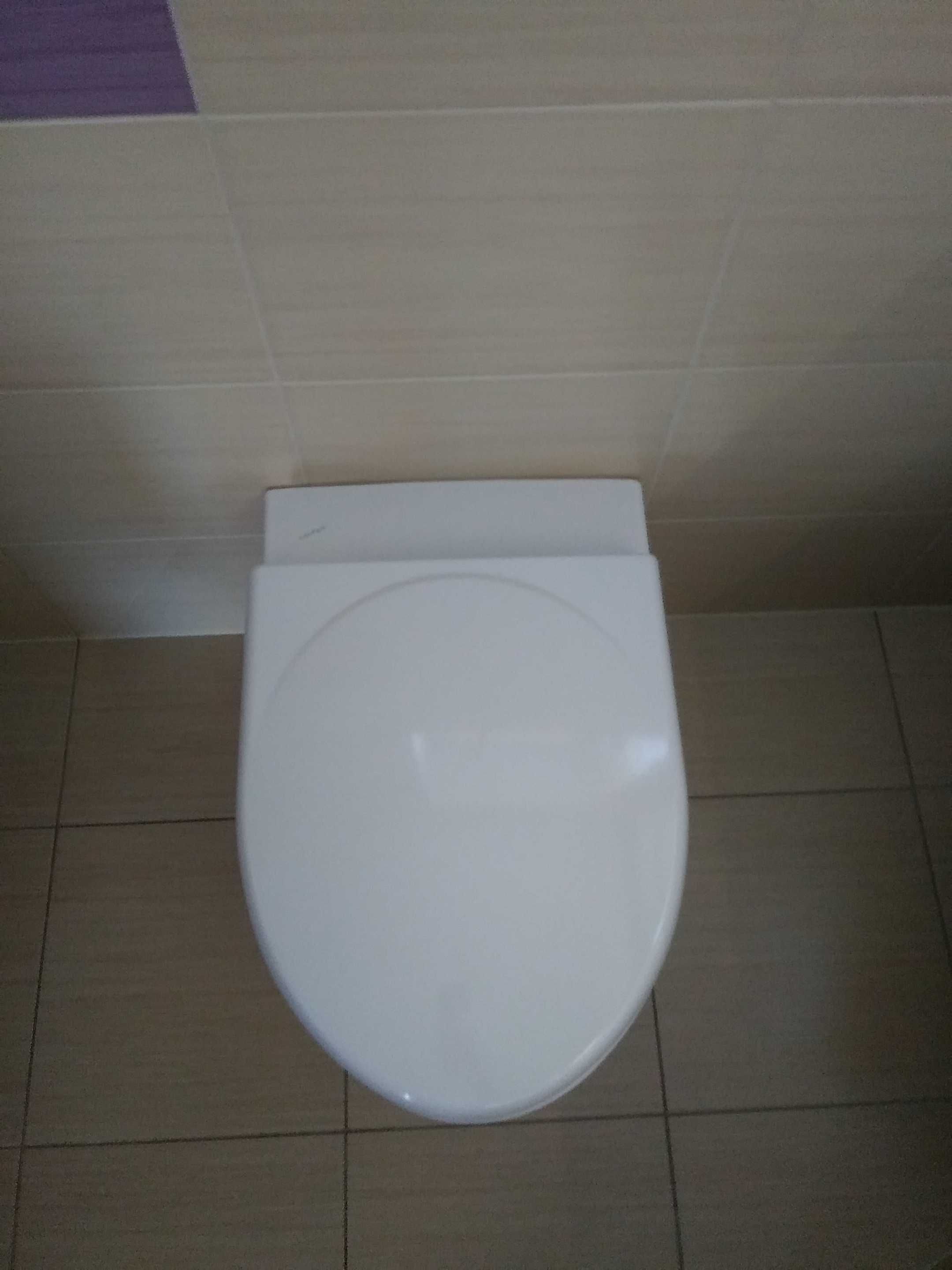 monia Wc toaleta wisząca z klapą Laufen