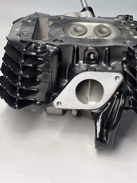 Головка циліндра в зборі 171 FMM Takken 250