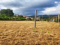 Limpeza e Desmatação - Terrenos | Matas | Áreas Florestais