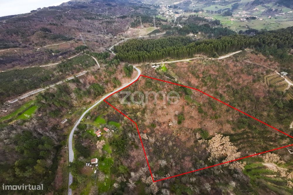 Terreno Rústico com 7.500 m², em Cimelas – Baião.
